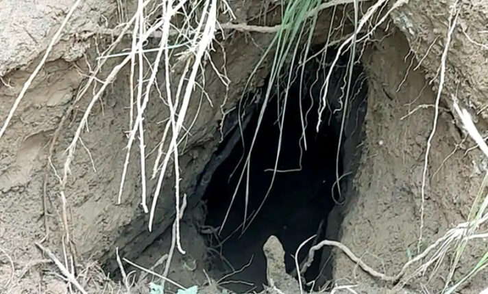 আন্তর্জাতিক সীমান্ত বরাবর সন্ধান পাওয়া ১৭০ মিটারের সেই সুড়ঙ্গ।