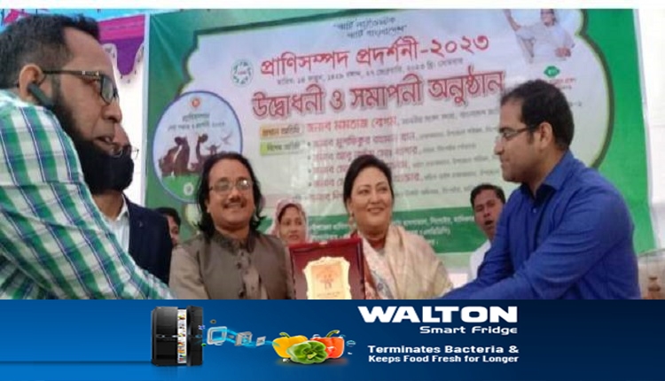 Boishakhinews24.net 252