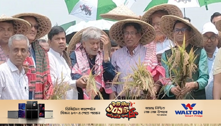 Boishakhinews24.net 238