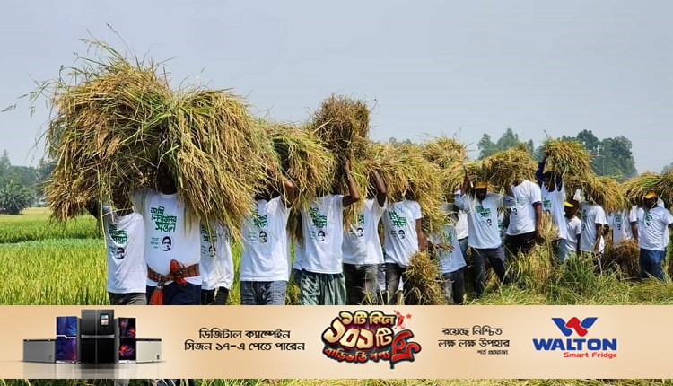 Boishakhinews24.net 349
