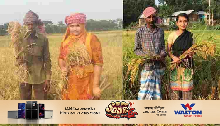 মৈত্রী