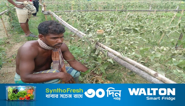 Boishakhinews24.net 33