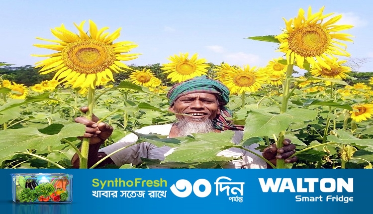 Boishakhinews24.net 44