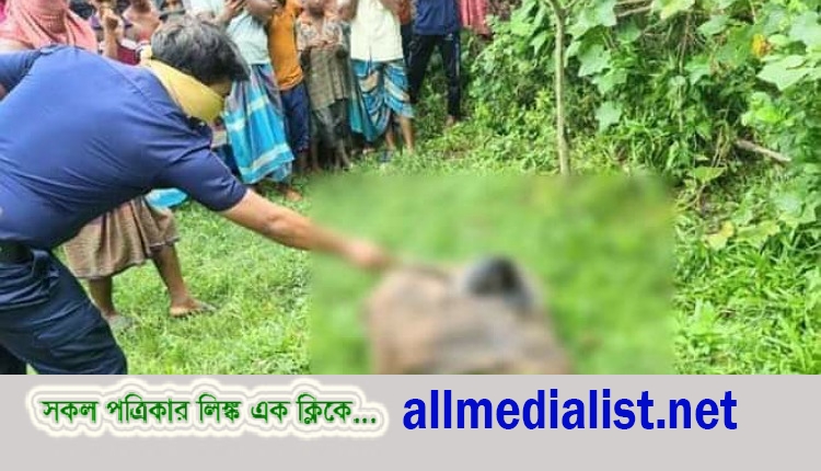 inbound1964587583283613741