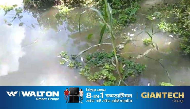 inbound2443477044230670389