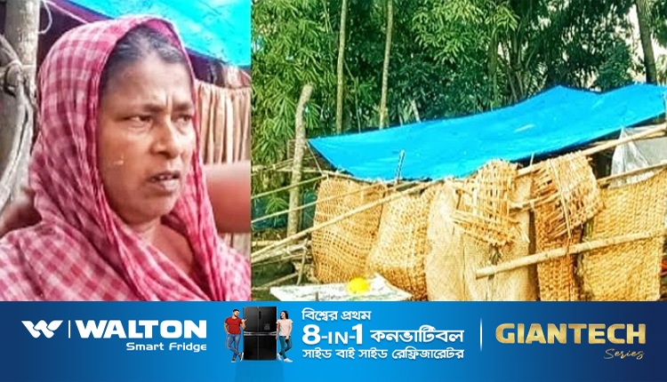 inbound683252251879765816