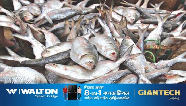 মাছ
