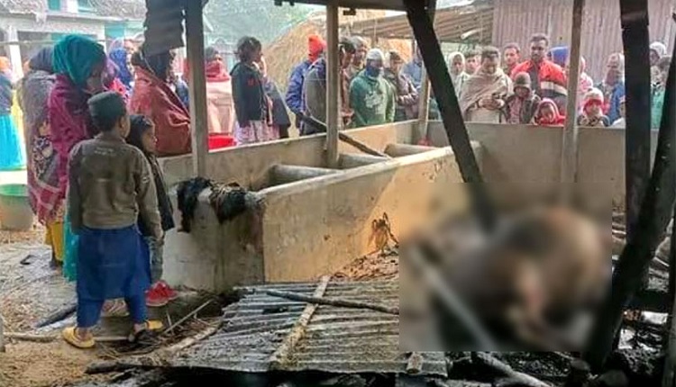 boishakhinews24.net 104