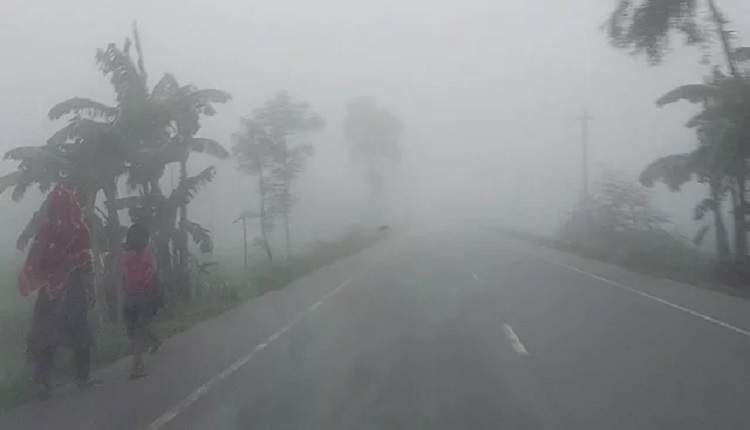 boishakhinews24.net 95