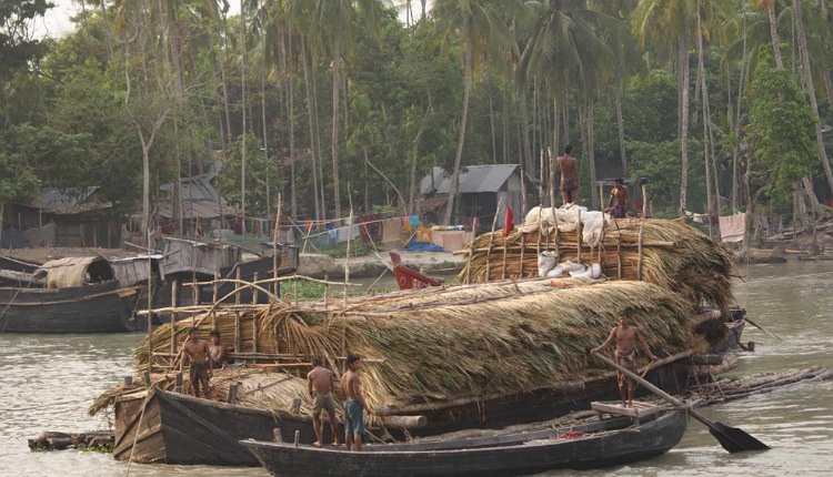 inbound8994118557538241425