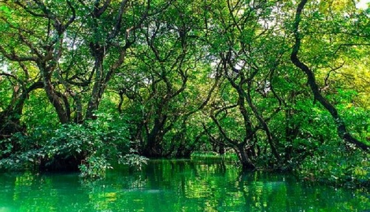 inbound2173568239401779161