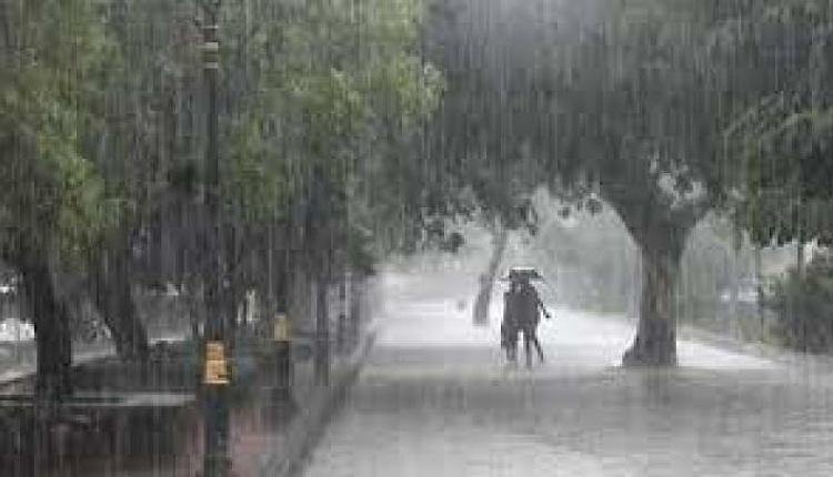 inbound3381399338624891995