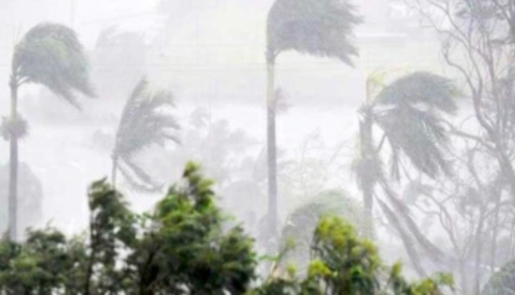 inbound3882507721920377542