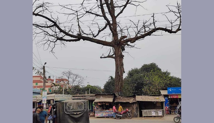 inbound7863935146425924421