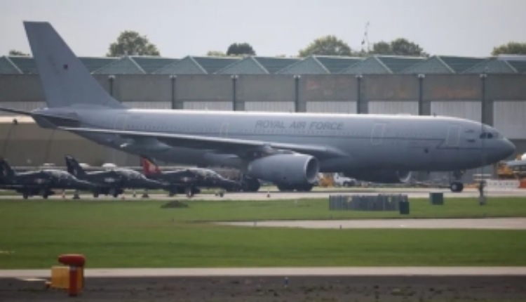 inbound3610219152283025356