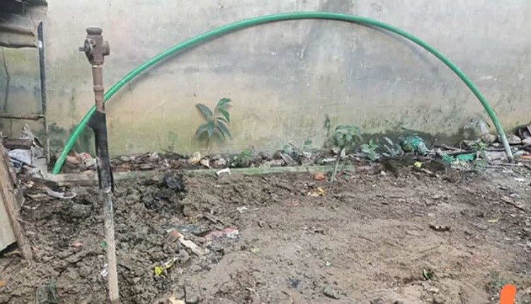 inbound1886296095872397035