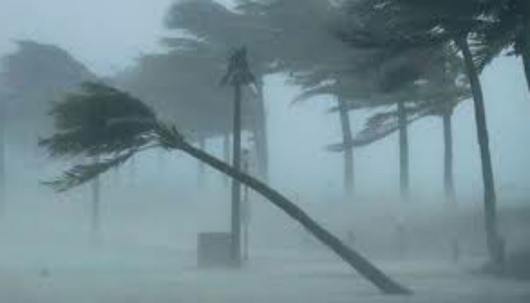 inbound5780466910861679331