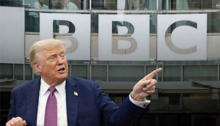 inbound4465282572575112835