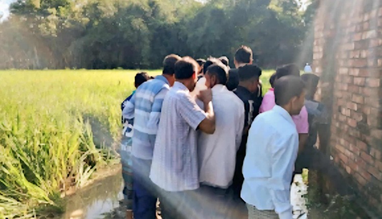 inbound5292332133873667730