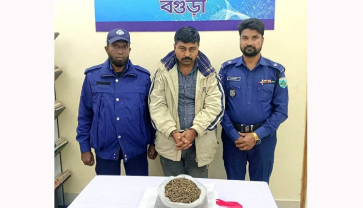 inbound8946859459179673188