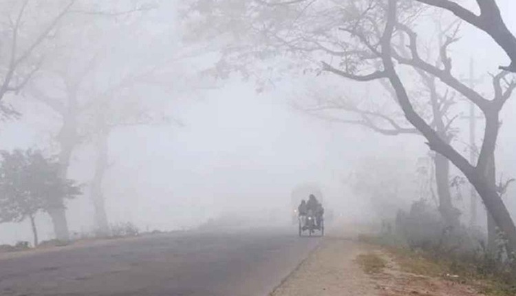 inbound4296237602677139663