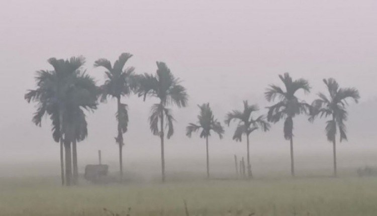 inbound8872849420436327193