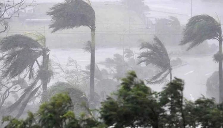 inbound1131922460909327472