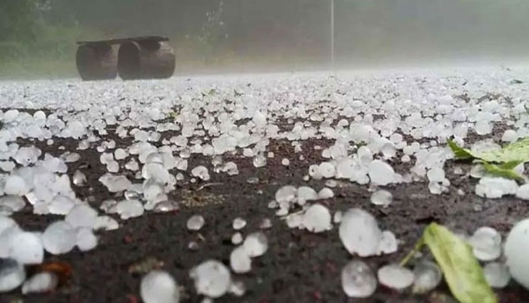 inbound3894459426861115988