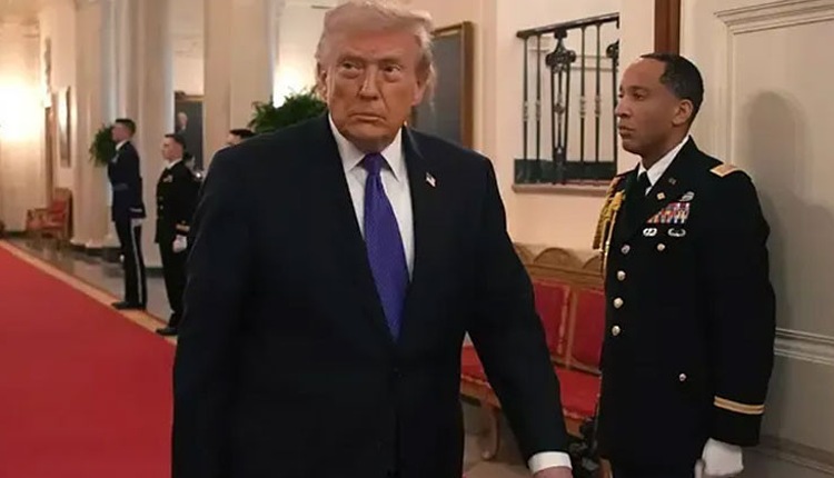 inbound567850441144636534