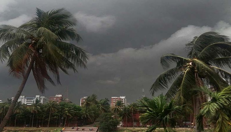 inbound8179019796004397091