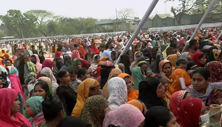 inbound8184683695819094153