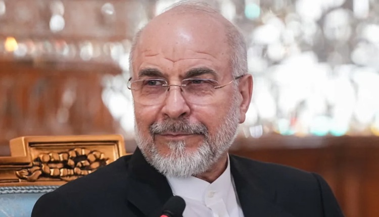 inbound6770084590520066837