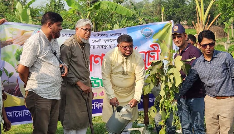 inbound6800363925713867165