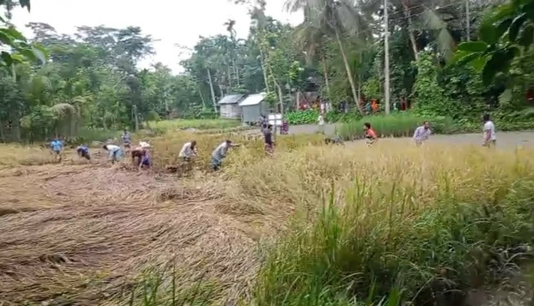 inbound6805686743828857155