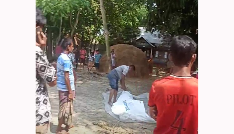 inbound7918854748540886257