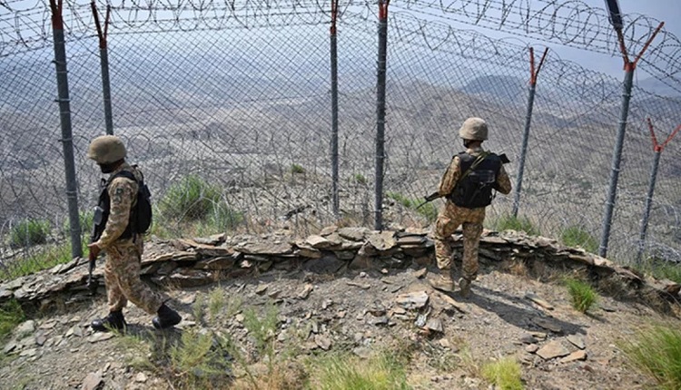 inbound9042562897387981947